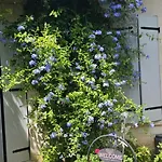 Domaine Du Lagon Bleu בית אירוח